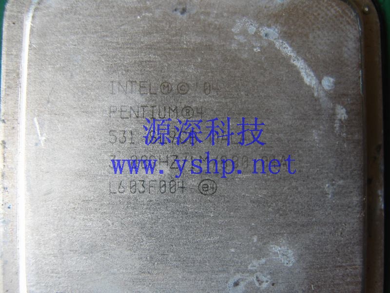 上海源深科技 上海 Intel CPU 处理器 PENTIUM 4 531 SL9CB 3.0 1M 800 高清图片