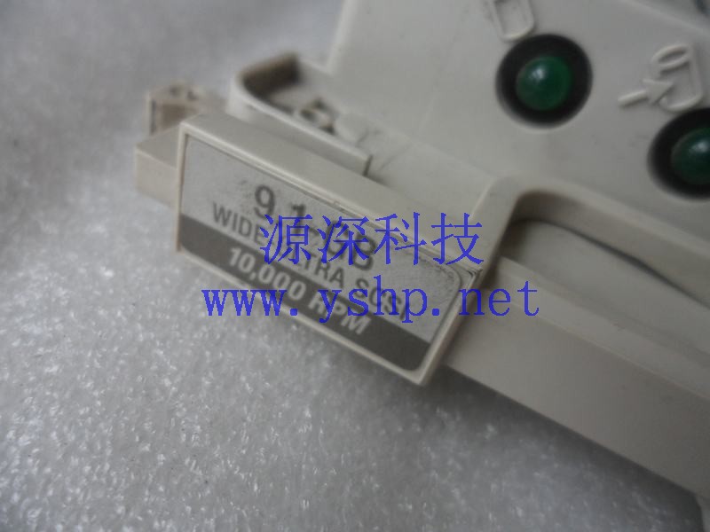 上海源深科技 上海 HP Compaq ProLiant 3000 SCSI硬盘 9.1G 127976-001 336381-001 高清图片