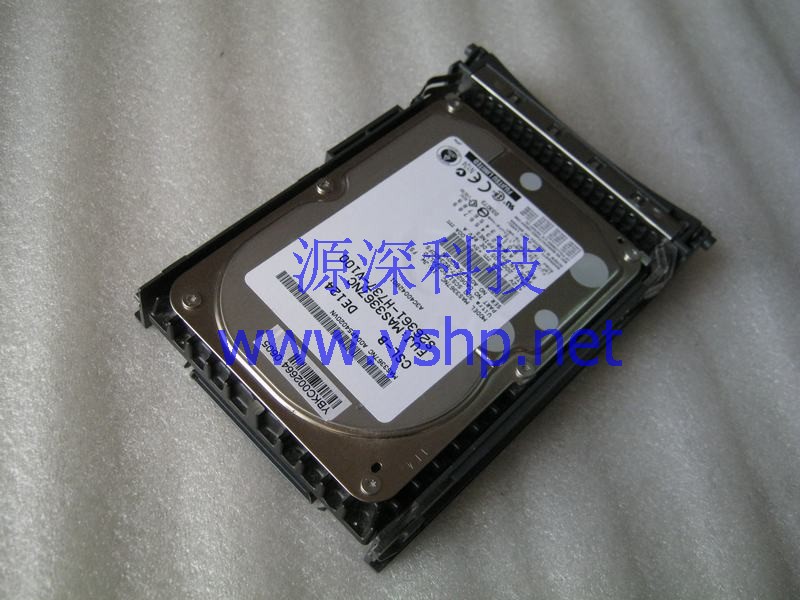 上海源深科技 上海 富士通 Fujitsu Siemens Primergy TX300 S2 36G SCSI硬盘 MAS3367NC S26361-H737-V100 高清图片