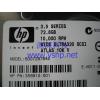 上海 HP 原装 服务器 72g 72.8G SCSI硬盘 356910-001