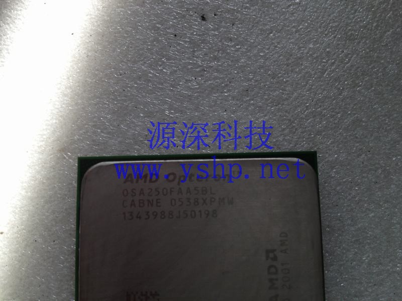 上海源深科技 上海 POGO 服务器 CPU AMD 皓龙 250 0SA250FAA5BL 高清图片