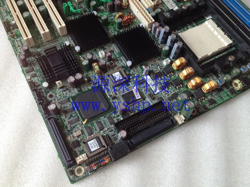 上海源深科技 上海 泰安 TYAN S2895UA2NRF-RS 主板AMD双路皓龙Socket 940 SCSI SATA 高清图片