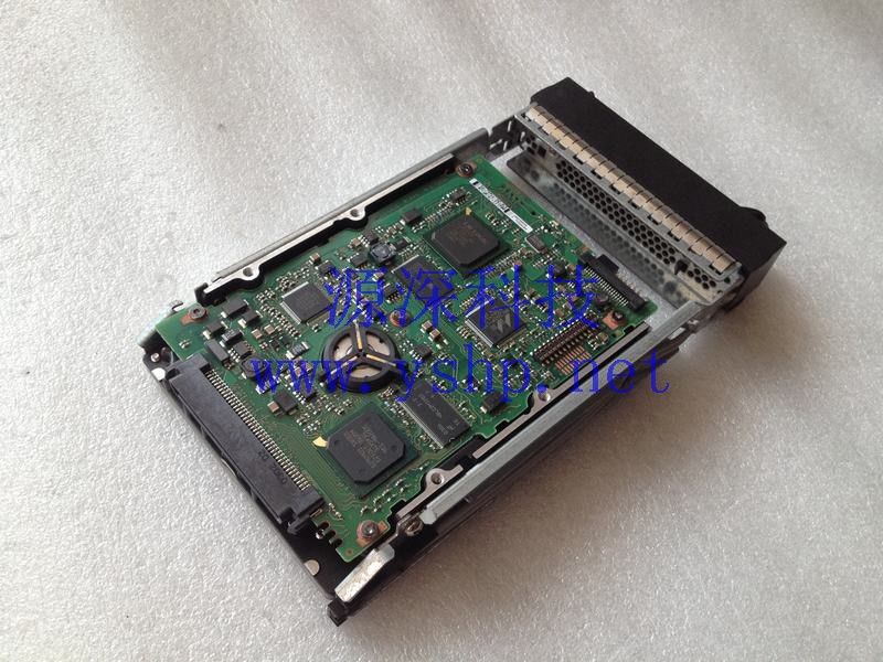 上海源深科技 上海 SUN 146G 10K SCSI服务器硬盘 370-6905 5405735-01 高清图片