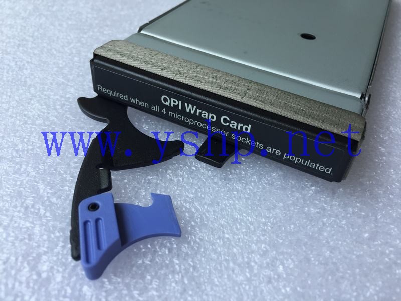 上海源深科技 IBM X3850X5服务器 QPI Wrap Card 46M0000 59Y6244 59Y4810 高清图片