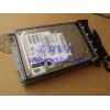 Shanghai   IBM Server Hard disk   146G Hard disk   10K 146.8G 80 pin   Hot swappable  SCSI Hard disk   32P0750 32P0760