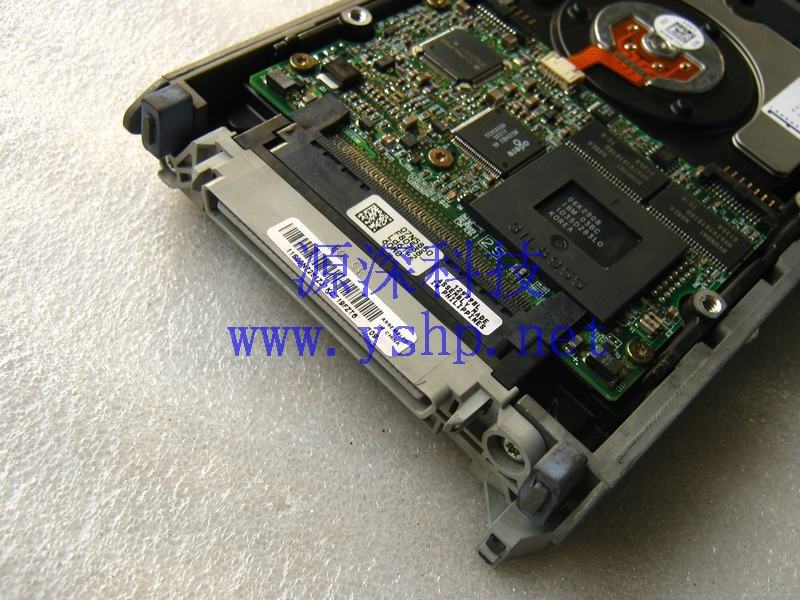 上海源深科技 Shanghai   IBM  original  36.4G 36G 阵列柜 SCSI Hard disk   4FYB5979 DDYS-T36950 高清图片