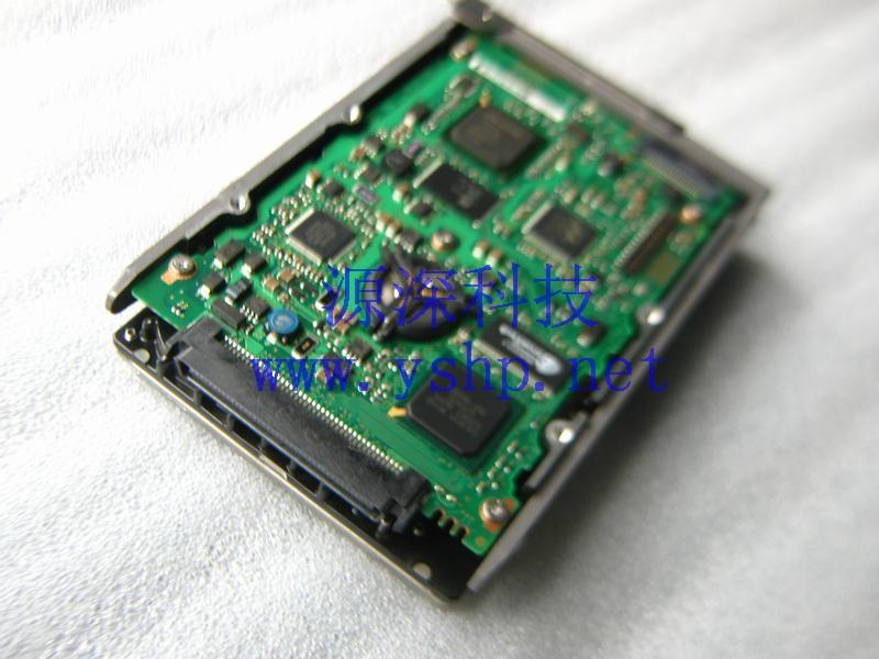 上海源深科技 Shanghai   SUN  original  X5263A 72G SCSI  Server  Hard disk   ST373307LSUN72G 高清图片