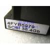 Shanghai   IBM  original  36.4G 36G 阵列柜 SCSI Hard disk   4FYB5979 DDYS-T36950