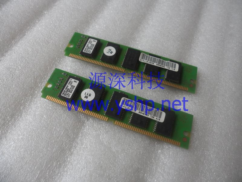 上海源深科技 Shanghai   IBM PC SERVER 500 MEMORY 16MB ECC SIMM 96F9100 05W0909 高清图片