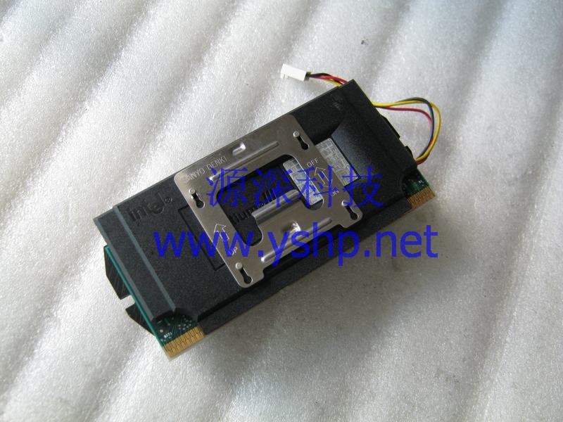 上海源深科技 Shanghai   Intel Pentium III 550E CPU 550 256 100 SL3N7 高清图片