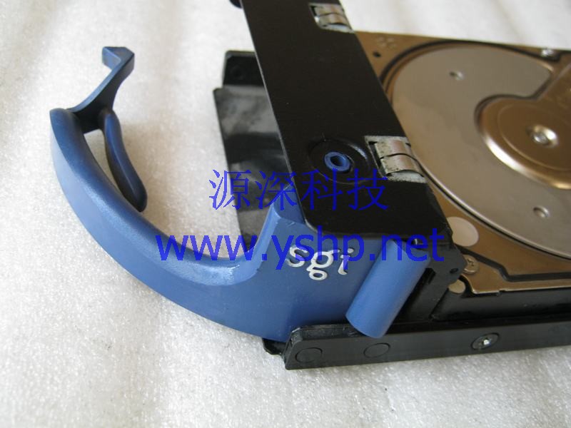 上海源深科技 Shanghai   SGI 1200  Hard disk   25L1893 9G SCSI DNES-309170 高清图片