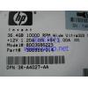 Shanghai   HP 36.4G  Server 10000RPM SCSI Hard disk   300955-014