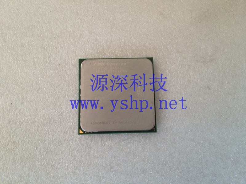 上海源深科技 Shanghai   POGO  Server CPU AMD 皓龙 250 0SA250FAA5BL 高清图片