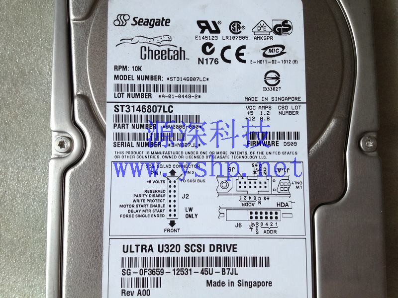 上海源深科技 Shanghai   DELL Server 146G SCSI Hard disk   ST3146807LC F3659 高清图片