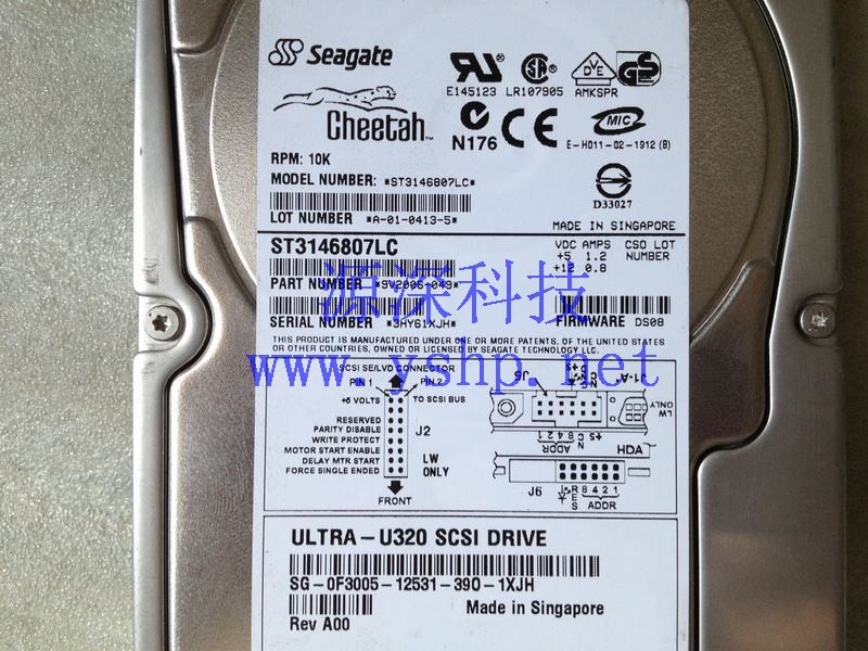 上海源深科技 Shanghai   DELL Server146G SCSI Hard disk   ST3146808LC F3005 高清图片