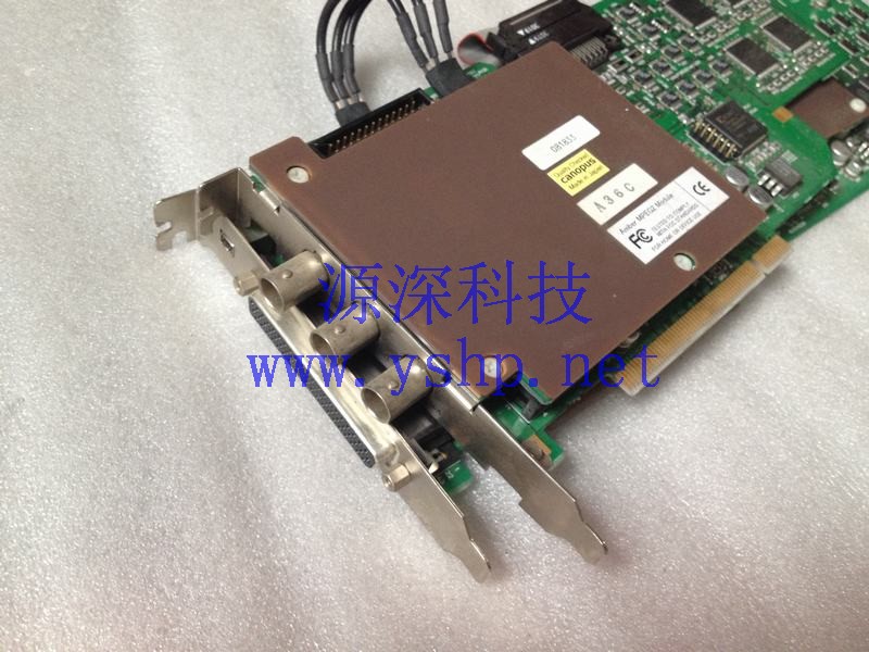 上海源深科技 Shanghai   Canopus DVRex-M1 Professional & DVRexRT Amber MPEG2 Module 高清图片