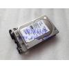 Shanghai   SUN  Storage   SCSI Hard disk   73G ST373307LSUN72G 5405563-01 3900106-04