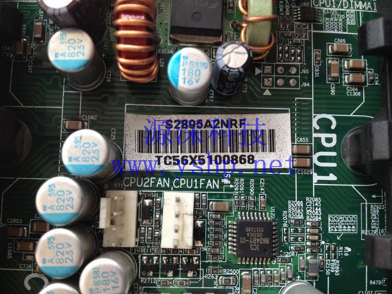 上海源深科技 Shanghai    TYAN mainboard  Thunder K8WE TYAN S2895A2NRF 双路AMD processor   高清图片