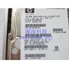 Shanghai   HP 146G SCSI Server Hard disk   300955-016 271837-006