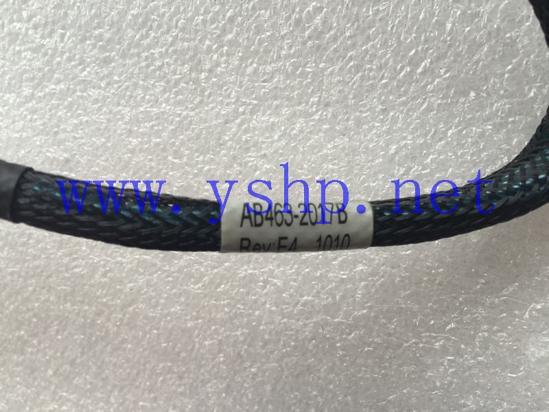 上海源深科技 Shanghai   HP RX6600 SAS Data  线 SAS Interconnect Cable AB463-2017B 高清图片
