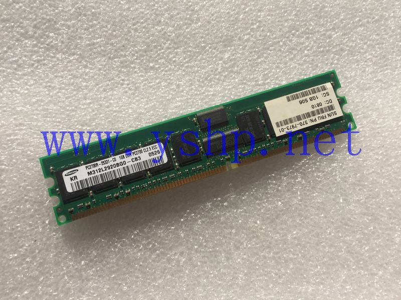上海源深科技 SUN  Workstation   Memory   1G PC2700R 370-7973-01 M312L2920BG0-CB3 高清图片
